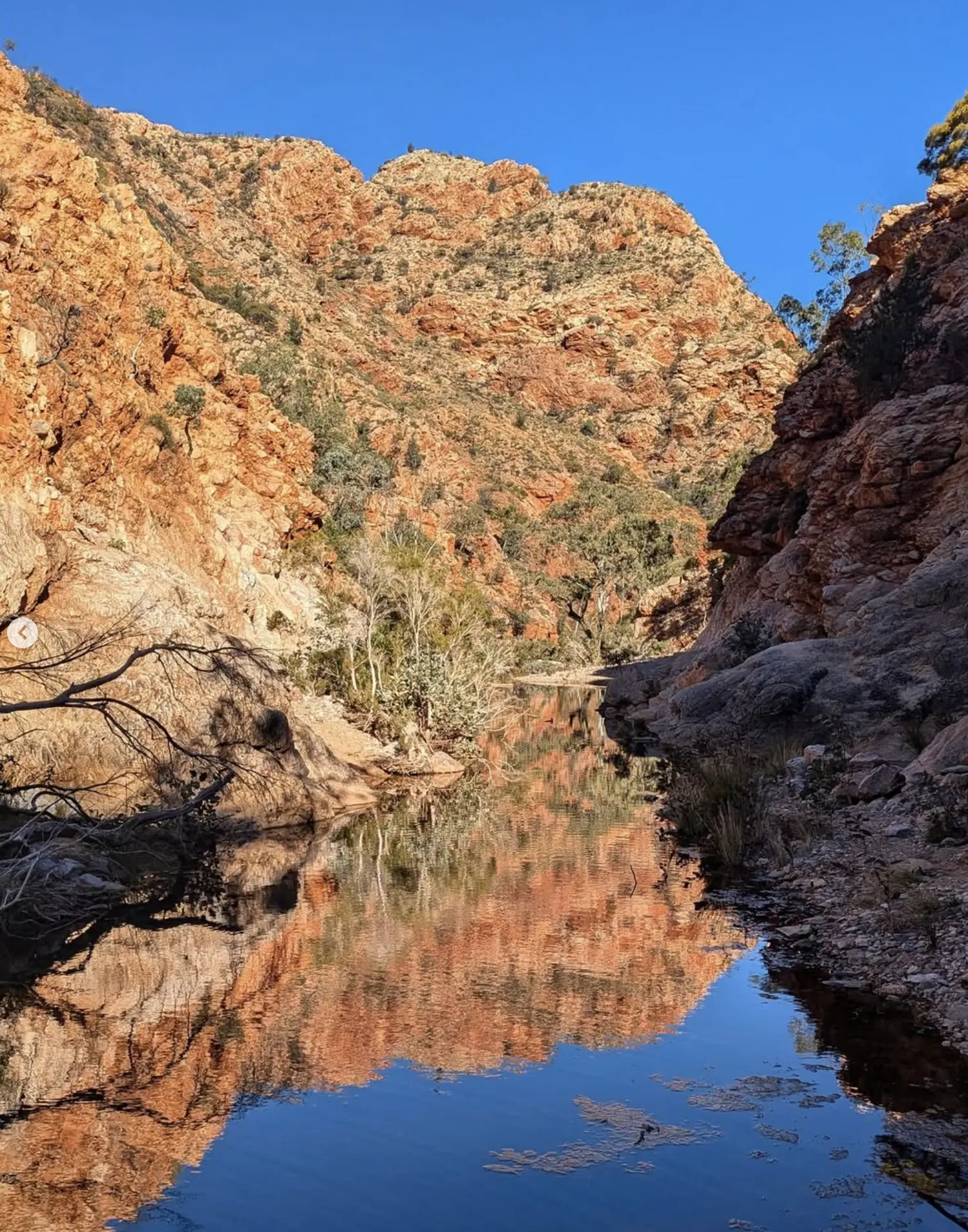 Where can you swim on the Larapinta Trail
